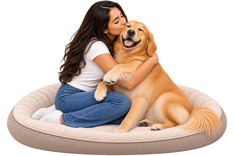Handler hugging a golden retriever on a pet bed at Heal Your Paws