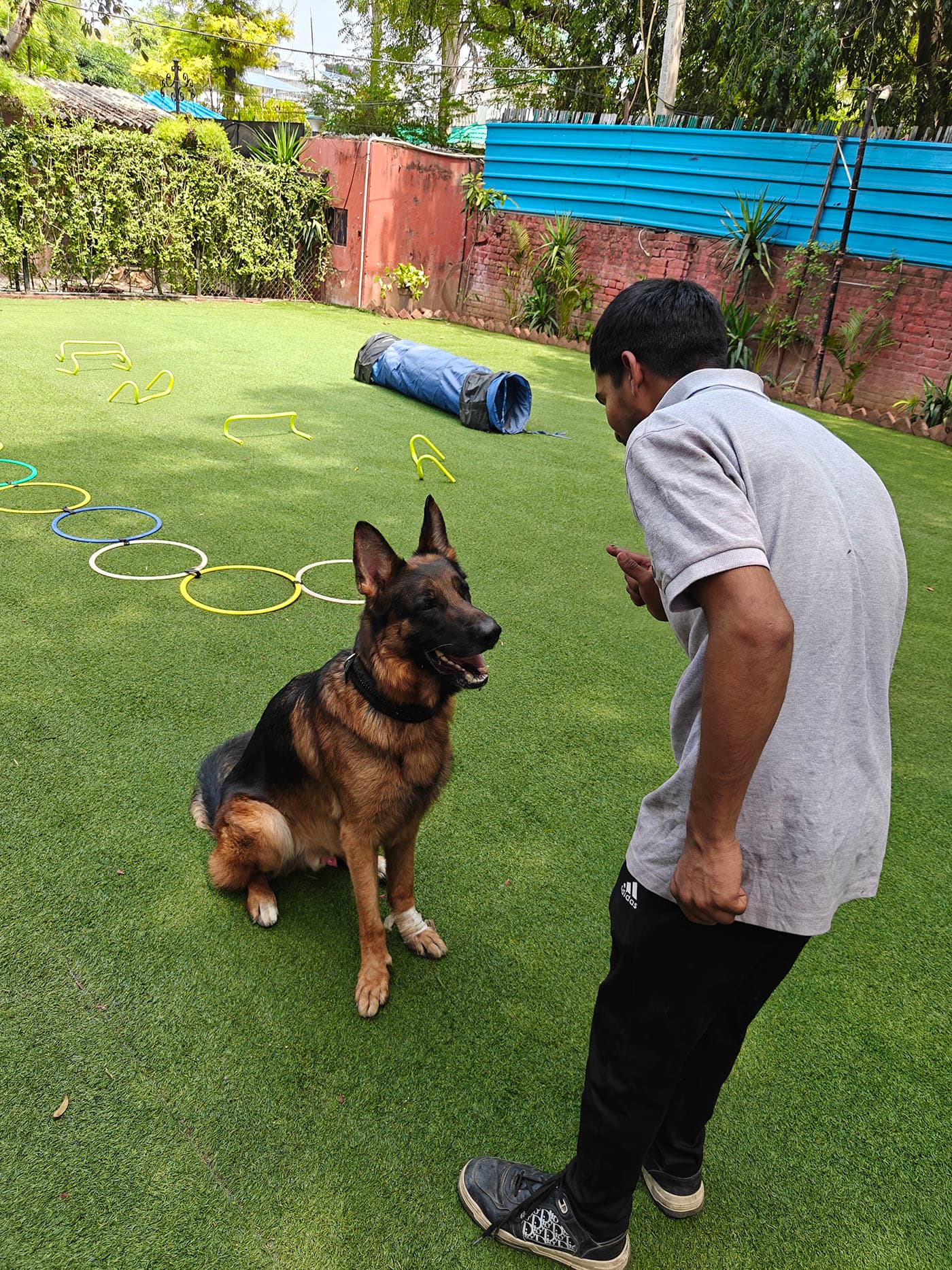 Pet care gallery image