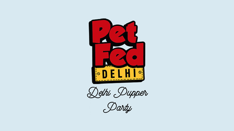 HealYourPaws pet fed party celebrating pet care, bonding, and a strong community spirit